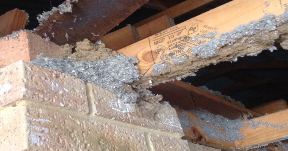 Ceiling beam with termite damage