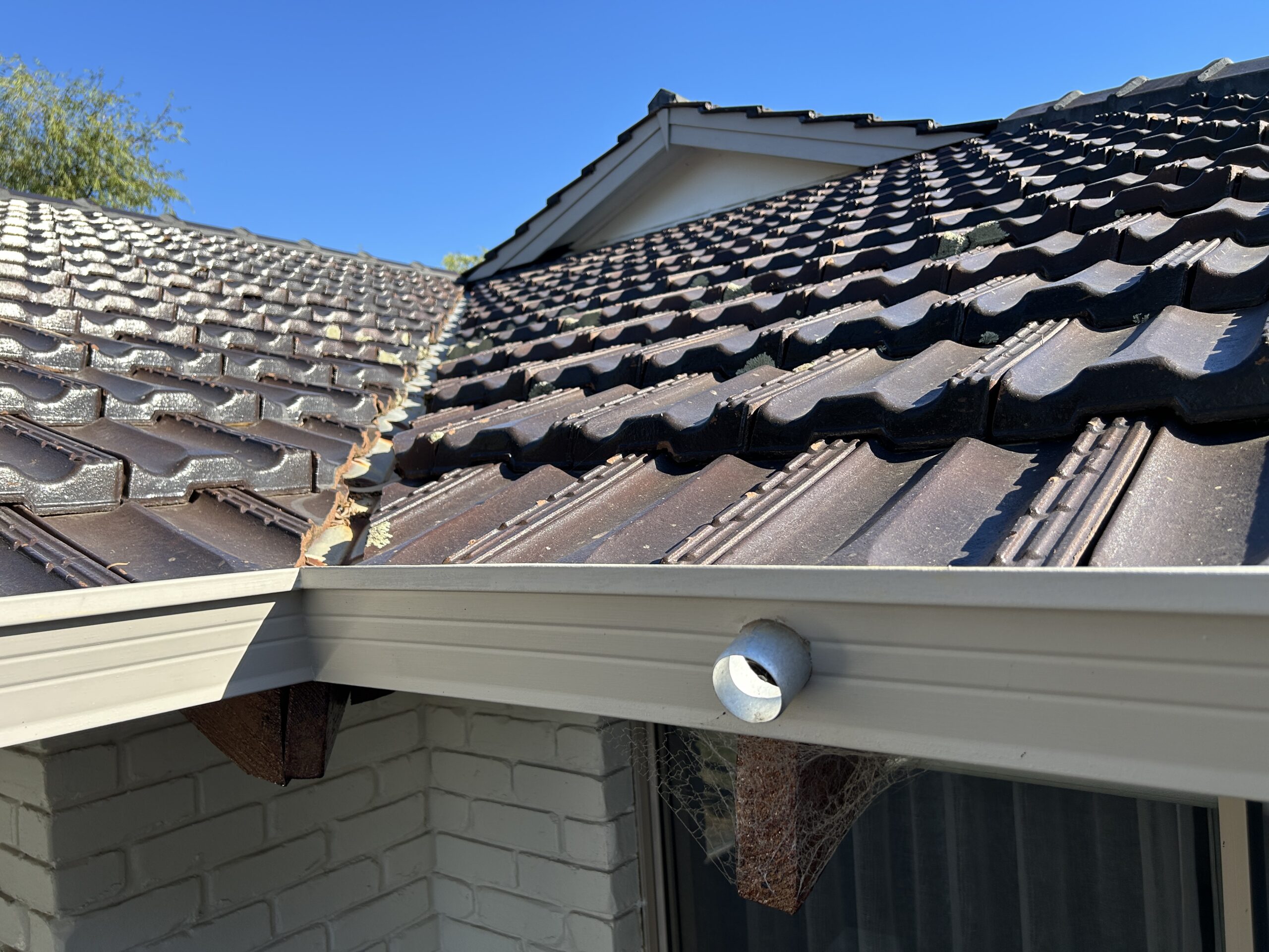 gutter inspections