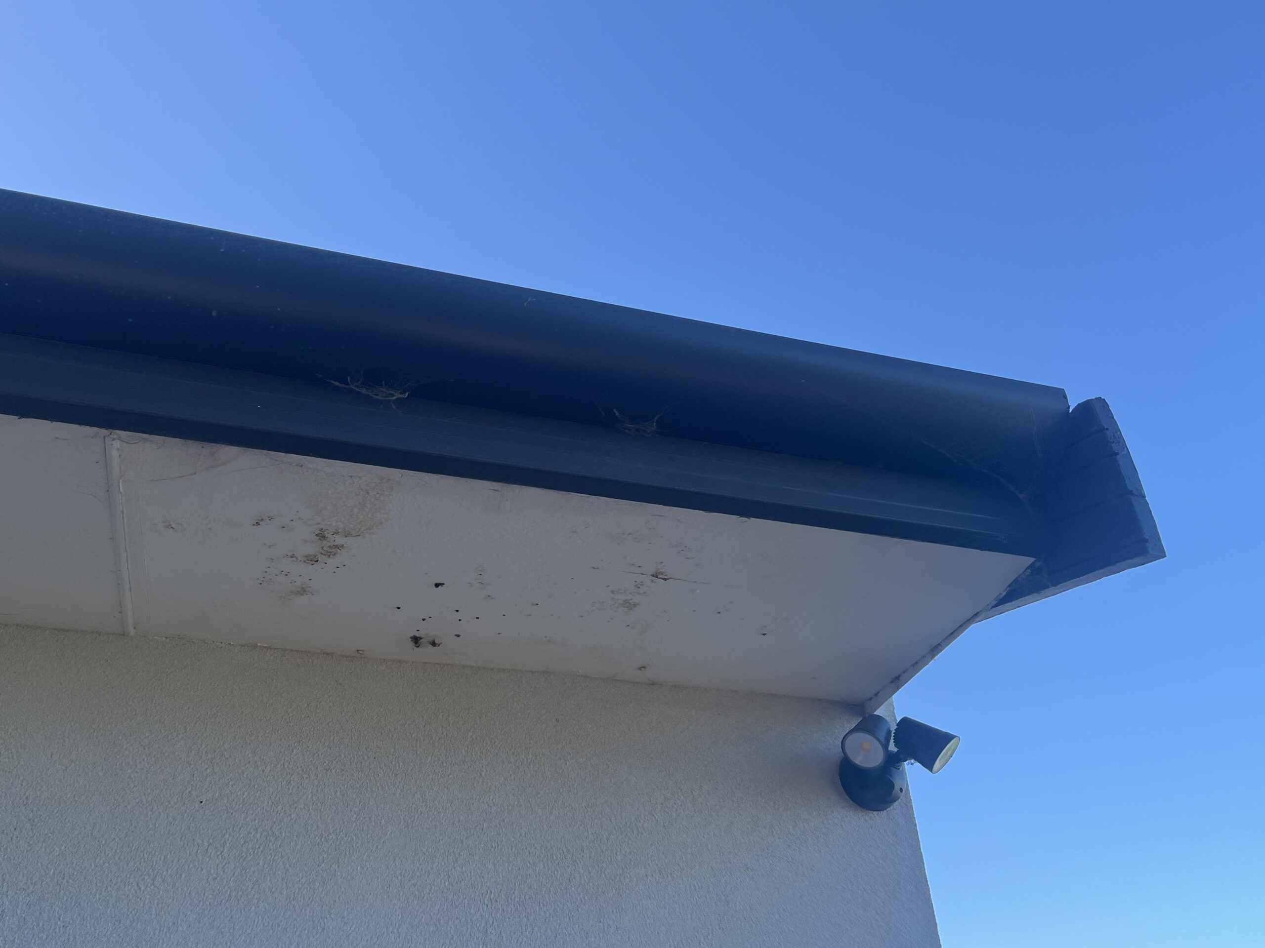 Water Ponding Cover Image